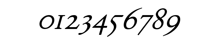 JuniusModern Italic Font OTHER CHARS