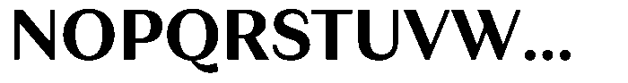 Juana Sans Text Bold Font UPPERCASE