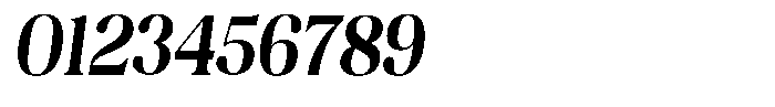 Juligraf Serif Bold Condensed Italic Font OTHER CHARS