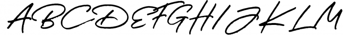 JV Signature SVG - Opentype SVG FONT Font UPPERCASE