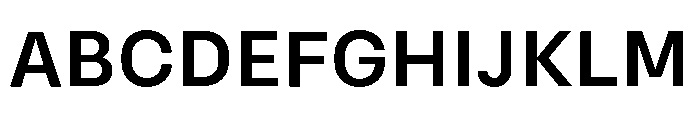 Kakao Small Sans Bold Font UPPERCASE