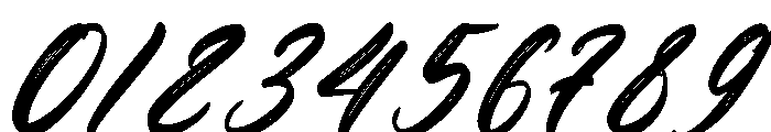 Kamella Italic Font OTHER CHARS