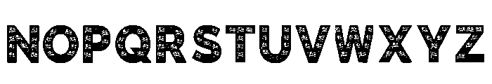 Kanon Regular Font LOWERCASE