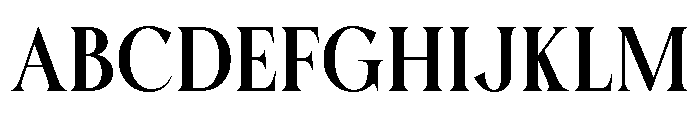 Karena Serif Black Font UPPERCASE