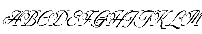 Kasfia Sirius Italic Font UPPERCASE