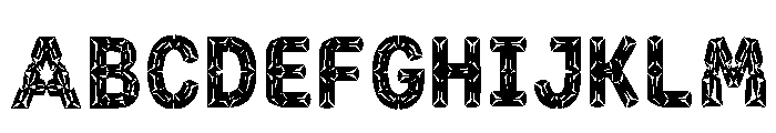 Kauai Regular FONT