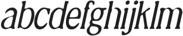 KapvileBlur-Italic otf (400) Font LOWERCASE