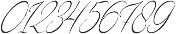 Karleysa Italic otf (400) Font OTHER CHARS
