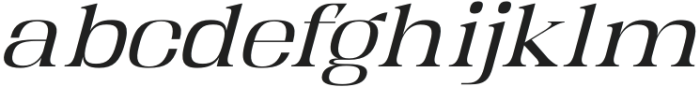 Kartikana Serif Italic otf (400) Font LOWERCASE