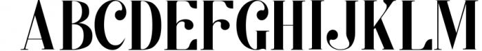Kage - Elegant Serif Family 3 Font UPPERCASE