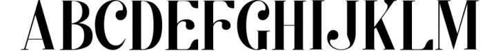 Kage - Elegant Serif Family 4 Font UPPERCASE