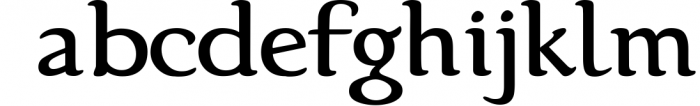 Karolina Serif Font Font LOWERCASE