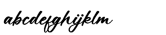 Kactigona FONT