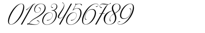 Kaelyna Script Font OTHER CHARS