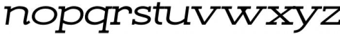 Kate Slab Pro Ultra Expanded 600 Semi Bold Italic Font LOWERCASE
