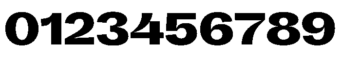 KAttilaPreview 90Black Instance Font OTHER CHARS