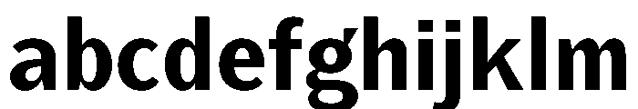 KantonGothic Bold Instance FONT