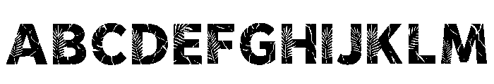 Kellan Regular Font UPPERCASE