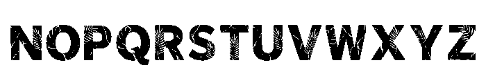 Kellan Regular Font LOWERCASE