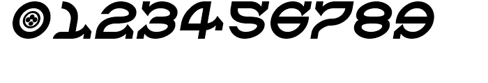 Kelt Regular Oblique Font OTHER CHARS