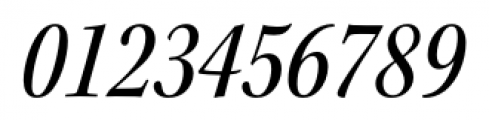 Kepler Std Condensed Subhead Medium Italic Font OTHER CHARS