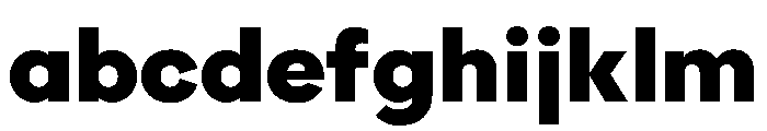 KelvinSans Noir FONT