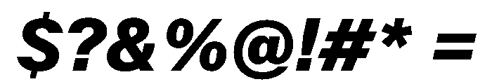 KFZuka BlackItalic Font OTHER CHARS