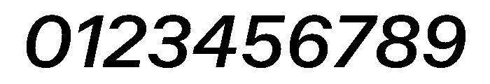 KFZuka BookItalic Font OTHER CHARS