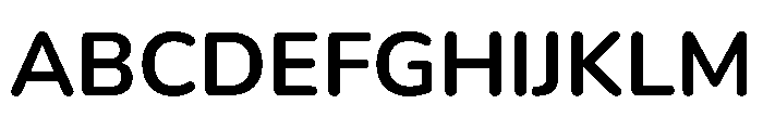 Kit Variable Bold Font UPPERCASE