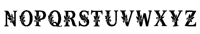 Kipper Regular Font LOWERCASE