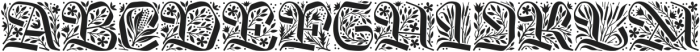 Kingfall Initials otf (400) FONT