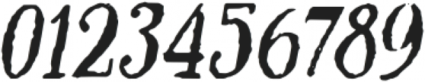 Kipling Italic otf (400) Font OTHER CHARS
