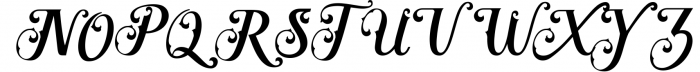 Kingston // Elegant Script Font Font UPPERCASE