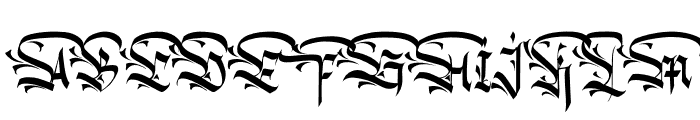 Kingroad Personal Use Sample