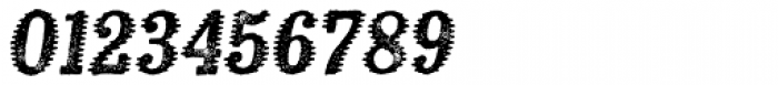 Kiln Serif Spiked Italic Font OTHER CHARS