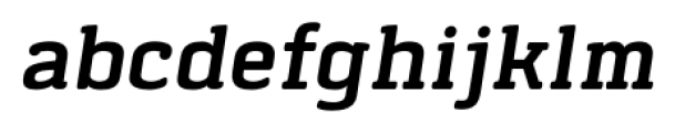 Klimt Organic Oblique Font LOWERCASE