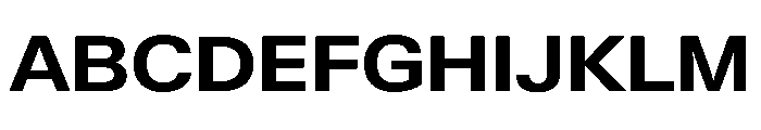 KMRWaldenburg SemiExtendedBold Font UPPERCASE