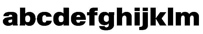 KMRWaldenburgUpright Black Instance FONT