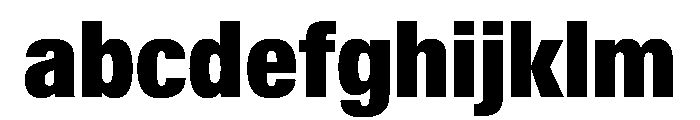 KMRWaldenburgUpright CondensedBlack Instance FONT