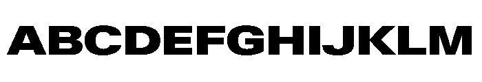 KMRWaldenburgUpright ExtendedBlack Instance Font UPPERCASE