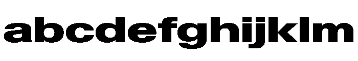 KMRWaldenburgUpright ExtendedBlack Instance FONT