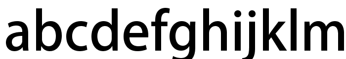 KozGoPr6N-Medium Font LOWERCASE