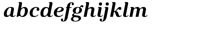 Kostic Serif Bold Italic Font LOWERCASE