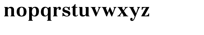 Kostic Serif Bold Font LOWERCASE