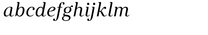 Kostic Serif Italic Font LOWERCASE