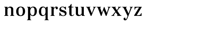 Kostic Serif Medium Font LOWERCASE