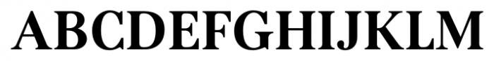 Kostic Serif Bold Font UPPERCASE