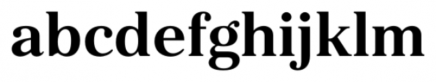 Kostic Serif Bold Font LOWERCASE