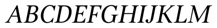 Kostic Serif Italic Font UPPERCASE