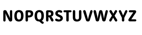Kohinoor Telugu RND Bold Font UPPERCASE